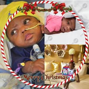 Meet your Posher, Ivy